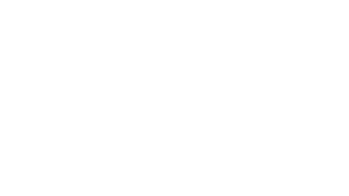 Tom Ford Logo